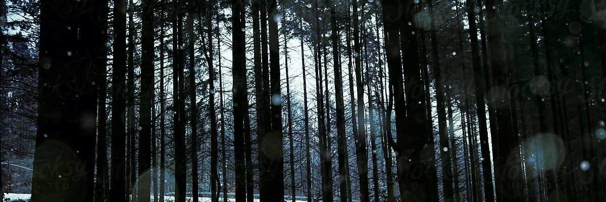 Stacy Snow, dontcha know 🐺 banner