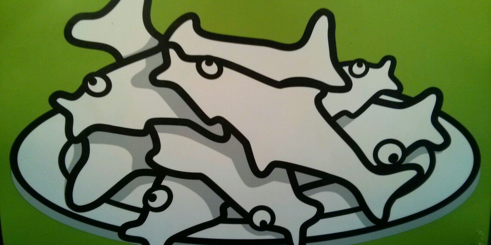 fishchick50's profile banner image