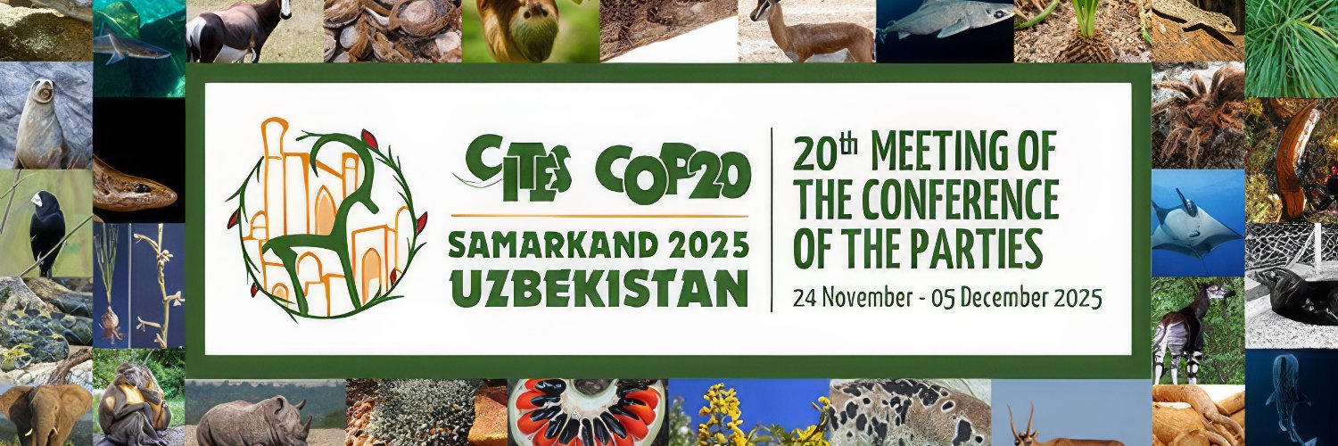 Sea Save Foundation banner