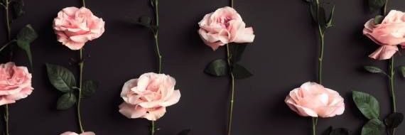 LindenBeauty's profile banner image
