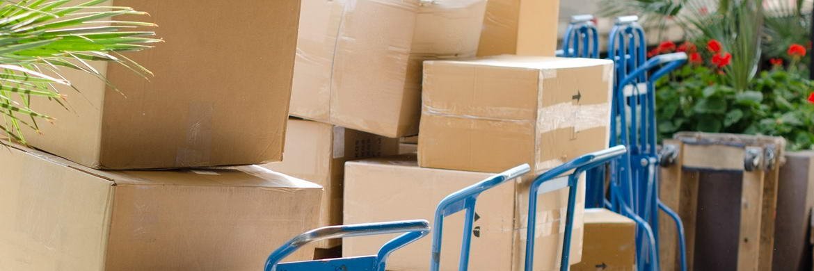 DTDC Packers and Movers banner