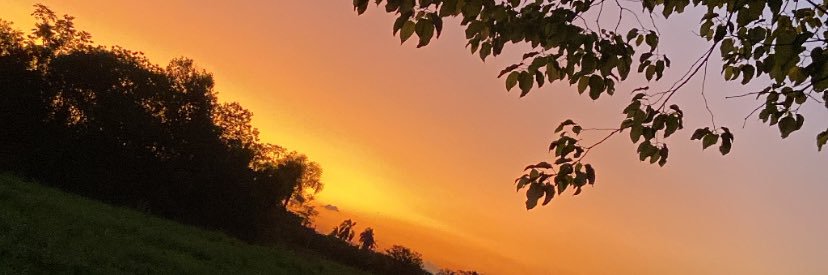 omarcoscf's profile banner image