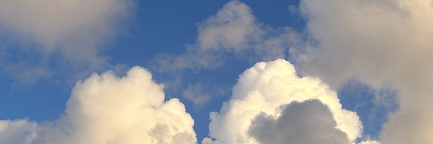 ElviaEm's profile banner image