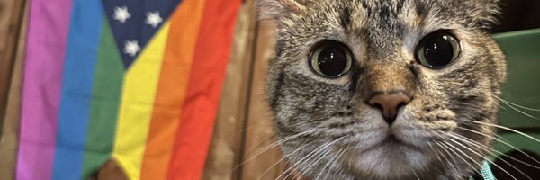 omadisonn Profile Banner