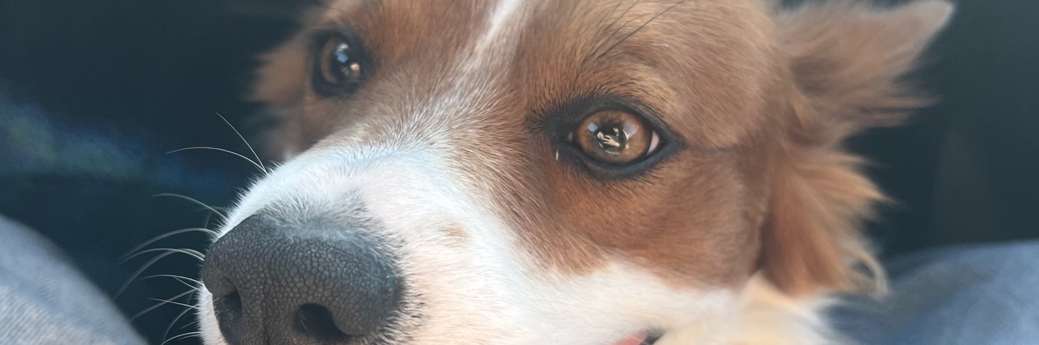 passdu3's profile banner image