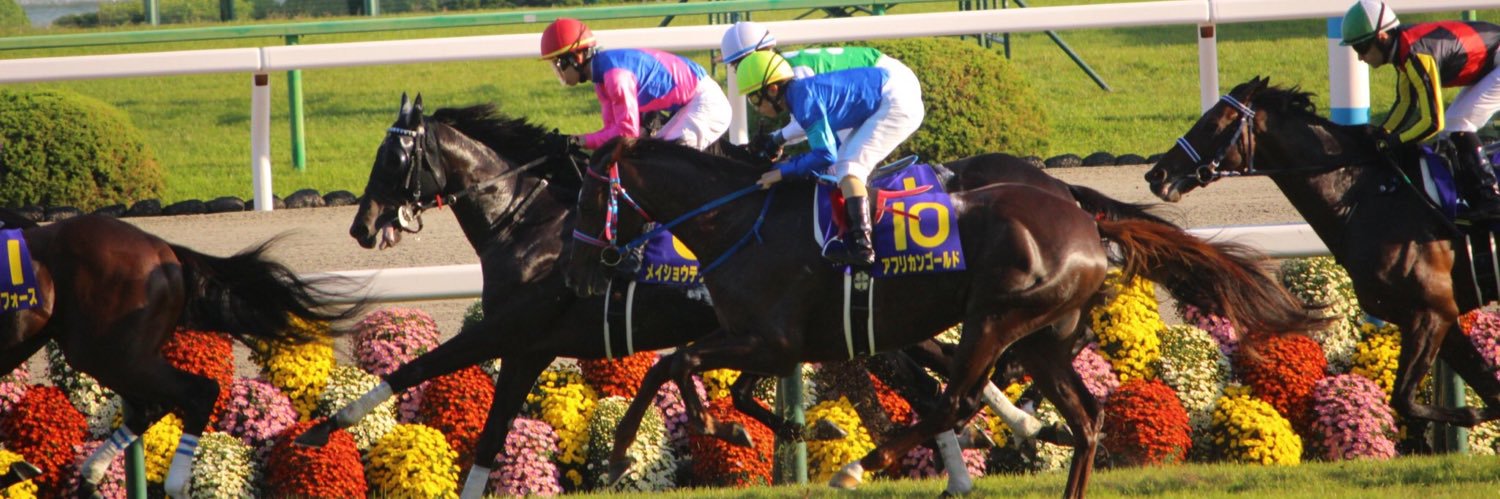 アフリカンゴールド(本人) banner