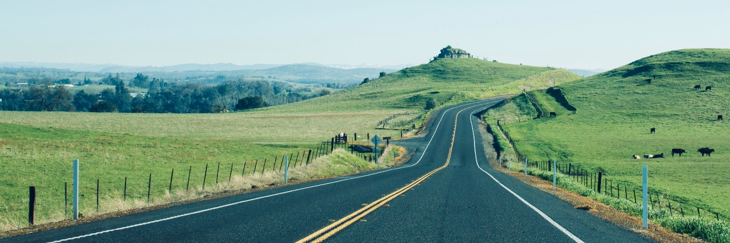 Vithun Gajendra banner
