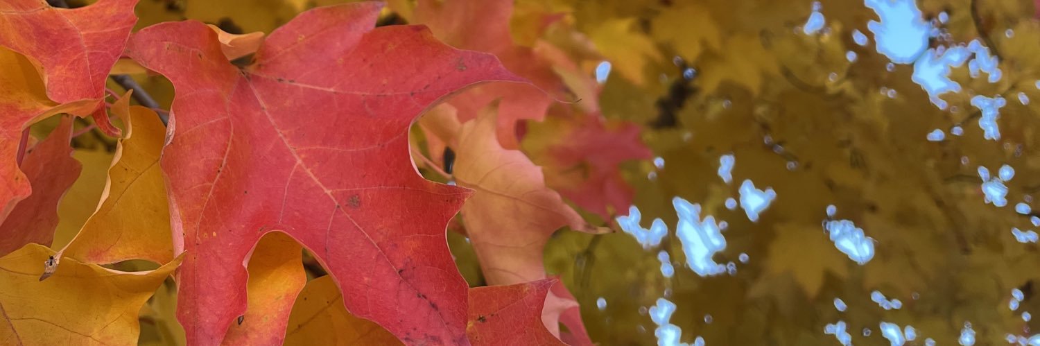 Joanne (she/her) 🇨🇦 banner