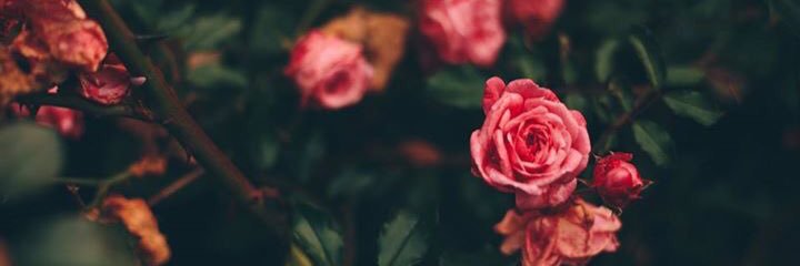 baby bottom pop 🍭🥺👉🏾👈🏾 banner