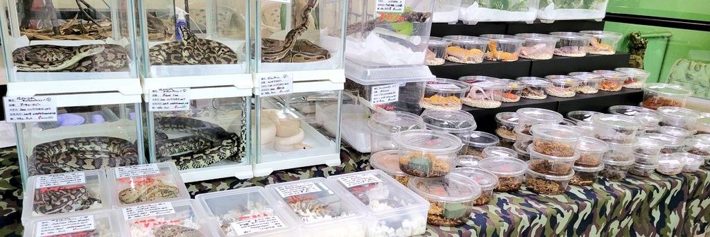 REPBUDDY入荷在庫案内 banner