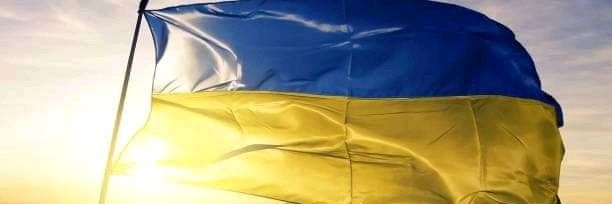 Combat WombatⓂ️ banner