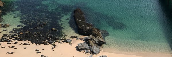 beckymreyno Profile Banner