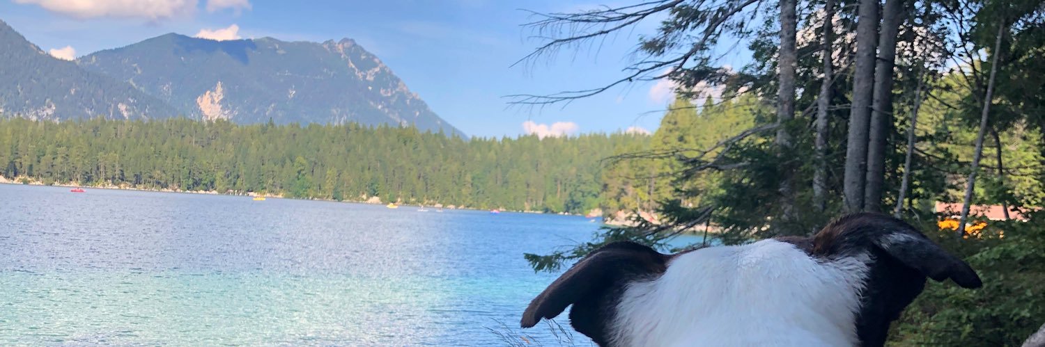dotsandyarn's profile banner image