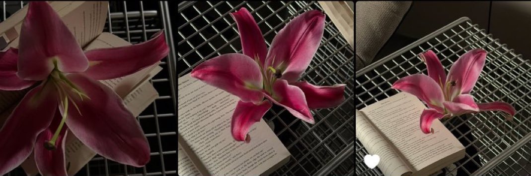 ramona.fl🌸wers banner