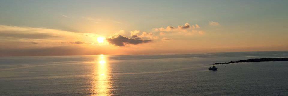 tripicchiodj's profile banner image