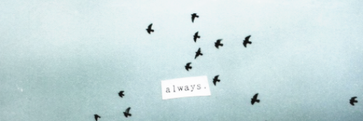 curlys_dimples's profile banner image