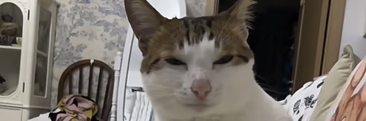 niumwong's profile banner image