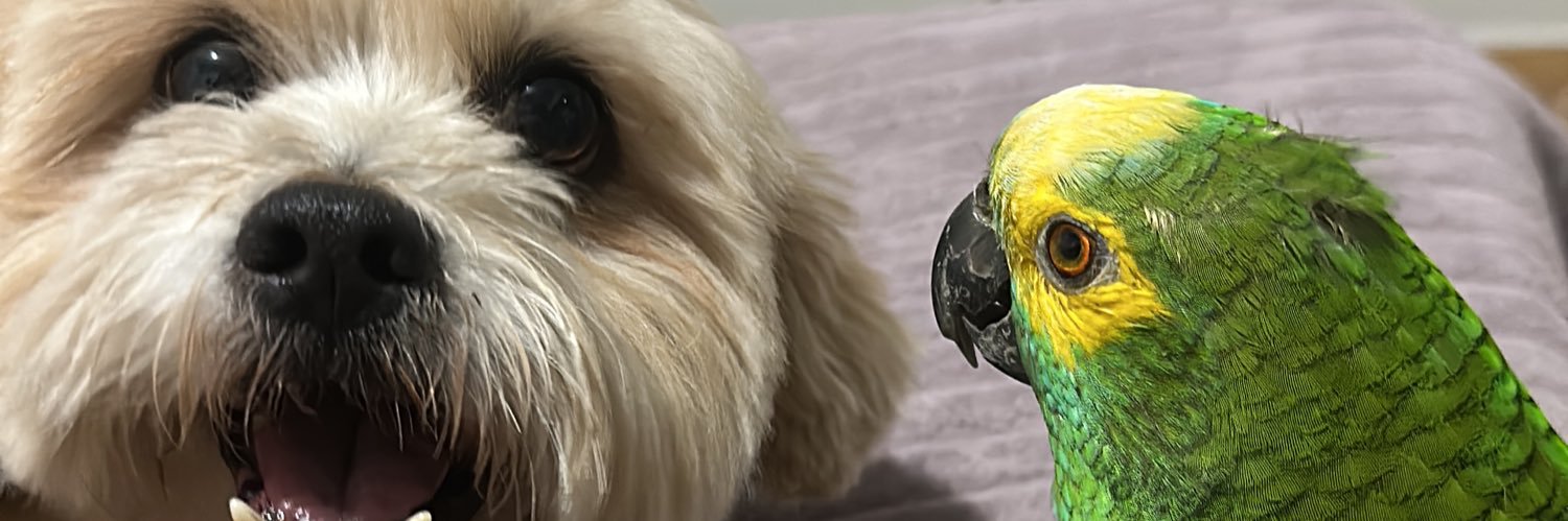 Mariana Souza. banner