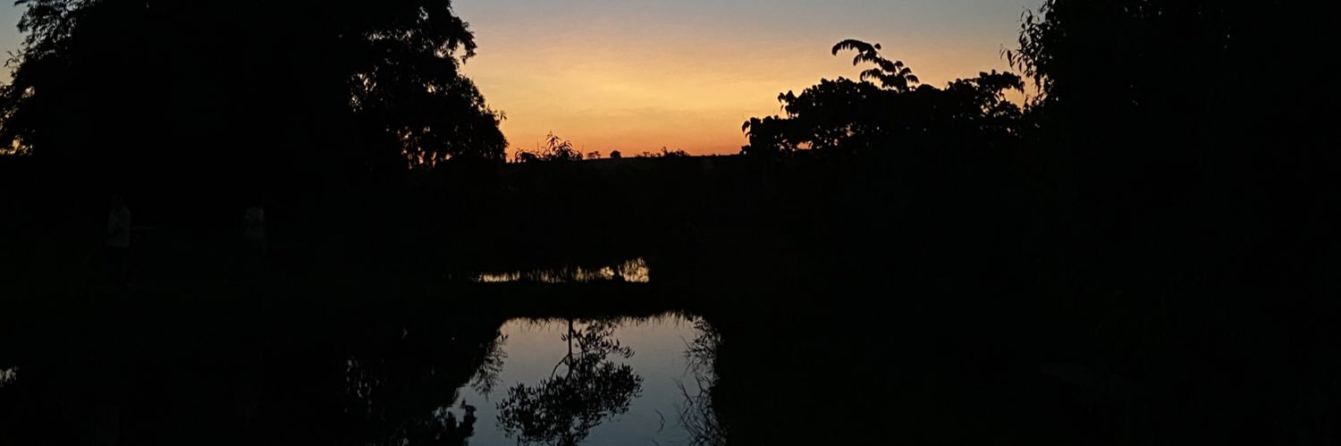 jorvasques's profile banner image