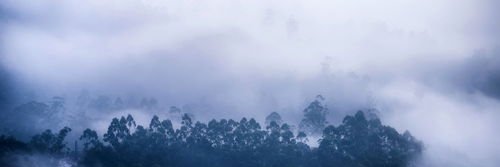 VictoriaIsMine4's profile banner image
