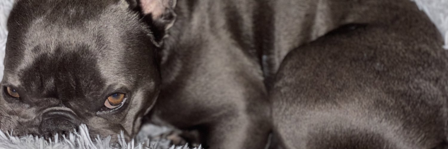 Kimberly◟̽◞̽ banner