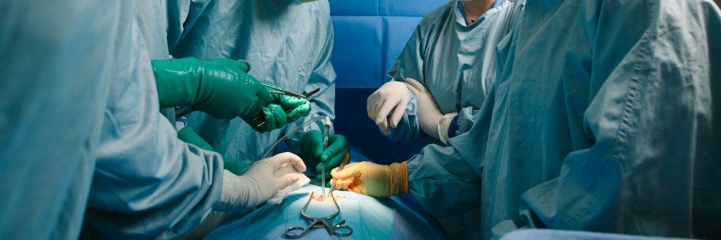 Mayo Clinic Surgical Education banner