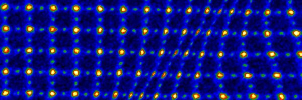 ShellyStem Profile Banner