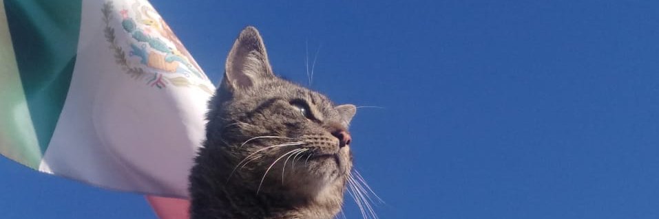 Octavio28738518's profile banner image