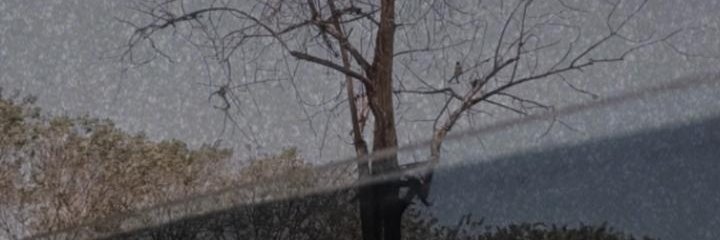 Murniningtyas2's profile banner image