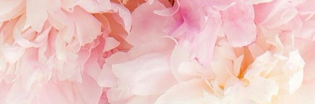 k_at1509's profile banner image