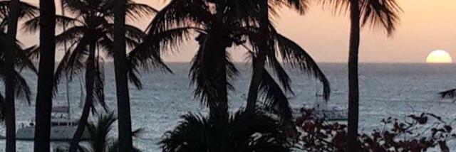 YennR's profile banner image