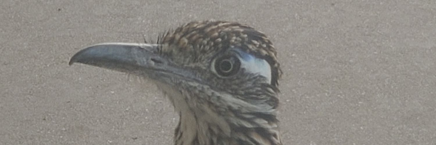 penguingrenade's profile banner image