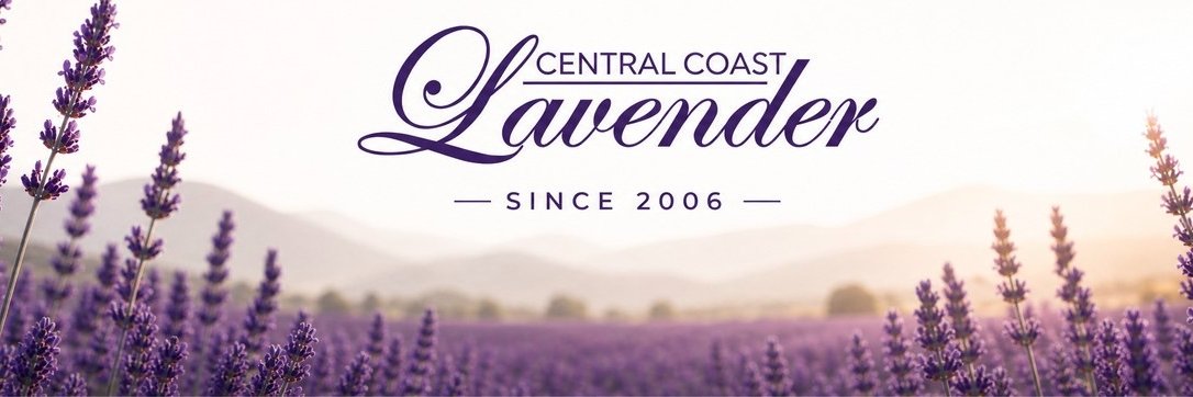 lavenderfarms's profile banner image