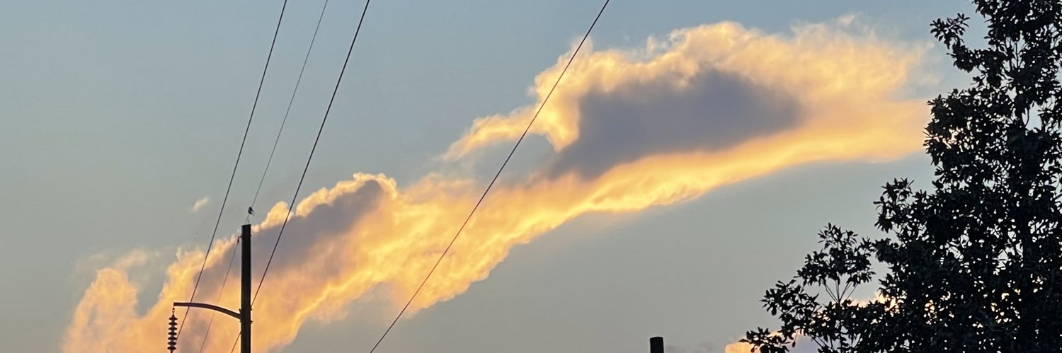 MJ ☭'s banner