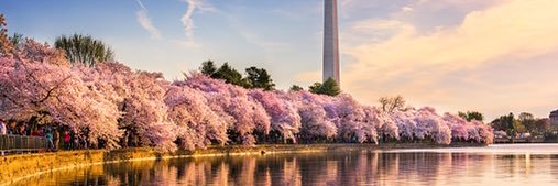 tmeehan25's profile banner image