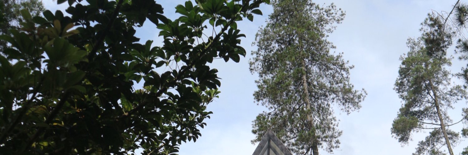 biargadingin's profile banner image