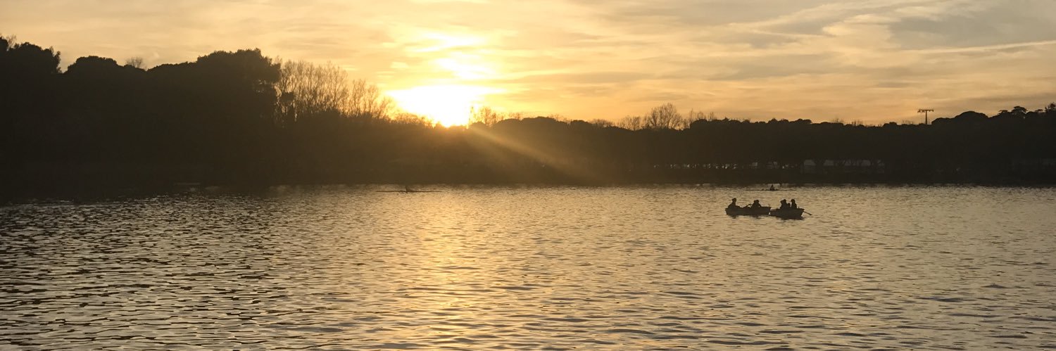 lisethdaf's profile banner image