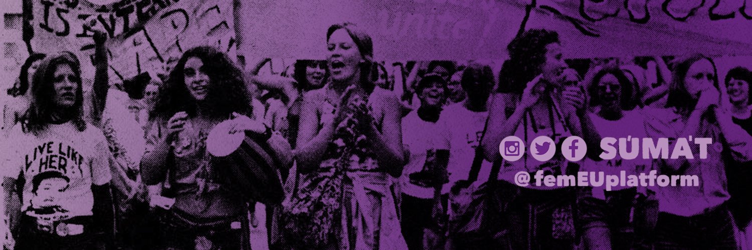 Feminist Europe Platform banner