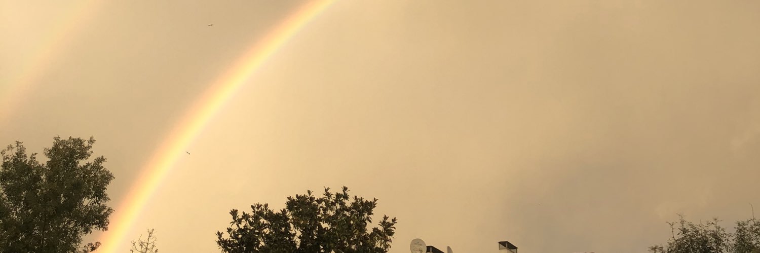 musonozcelik's profile banner image