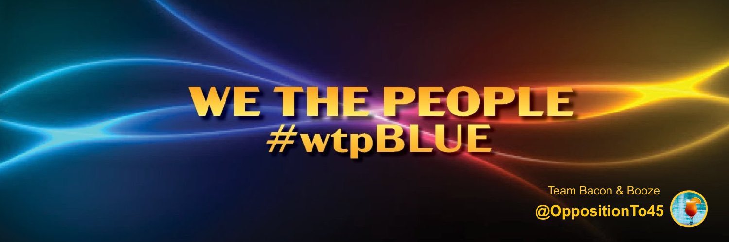 OppositionTo45's profile banner image