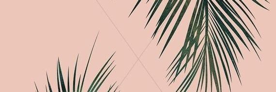 Baduelina's profile banner image
