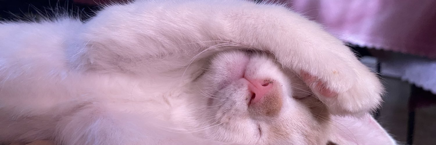 florrcav's profile banner image