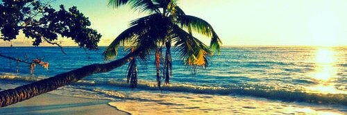 thao_sauce's profile banner image