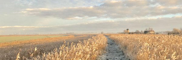 TractorWalking Profile Banner