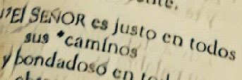 Spanishbible's profile banner image