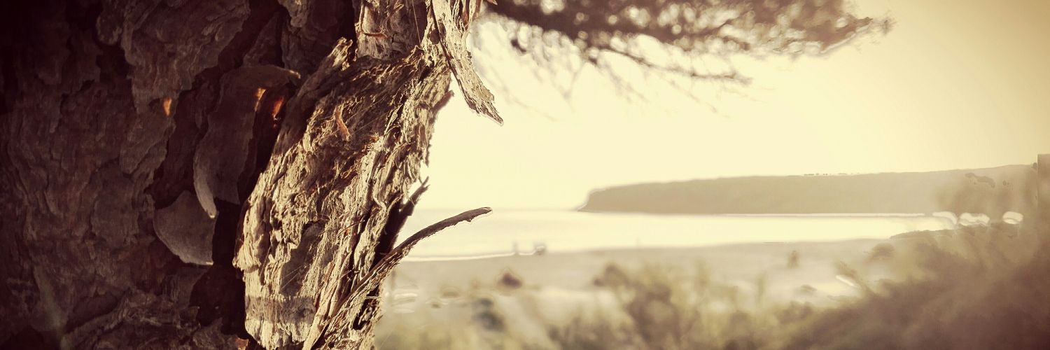 Alberto Sánchez banner