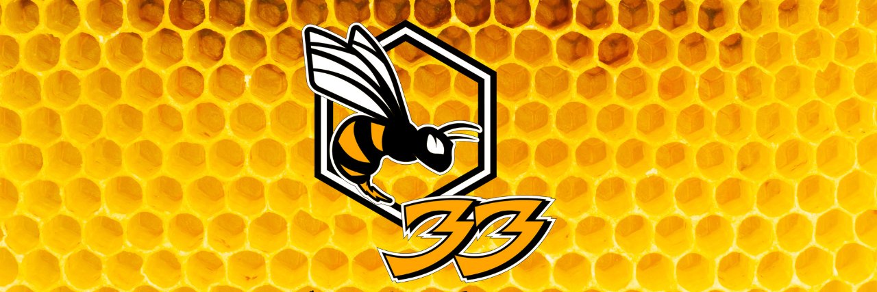 Killer Bees FRC 33 banner