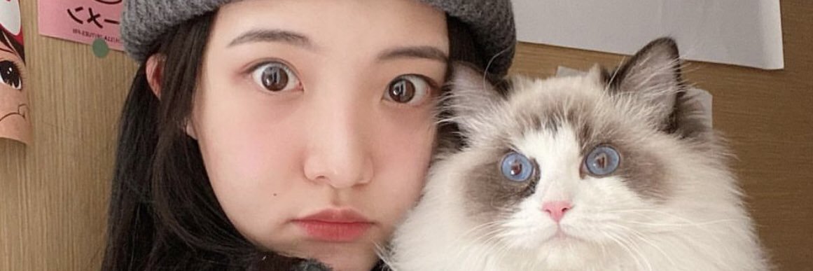 Niing_55's profile banner image