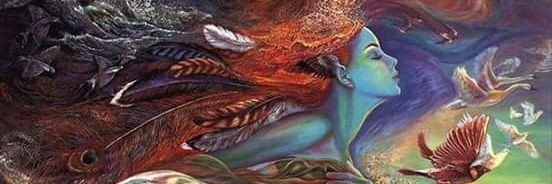 yuleweimer's profile banner image