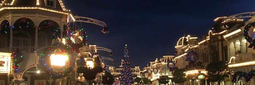 EvieCornock's profile banner image